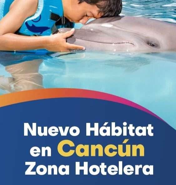 dolphin discovery llega a la zona hotelera de cancun