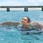 nuevo impuesto al nado con delfines en cancún y riviera maya