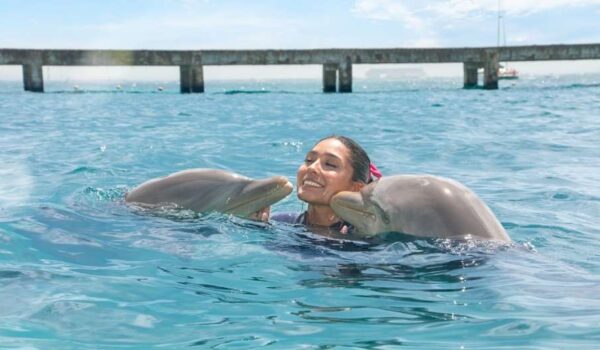 nuevo impuesto al nado con delfines en cancún y riviera maya
