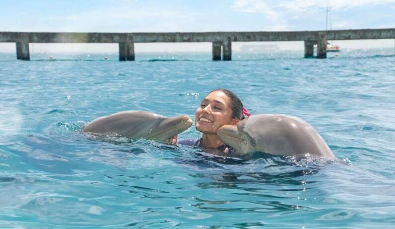 nuevo impuesto al nado con delfines en cancún y riviera maya